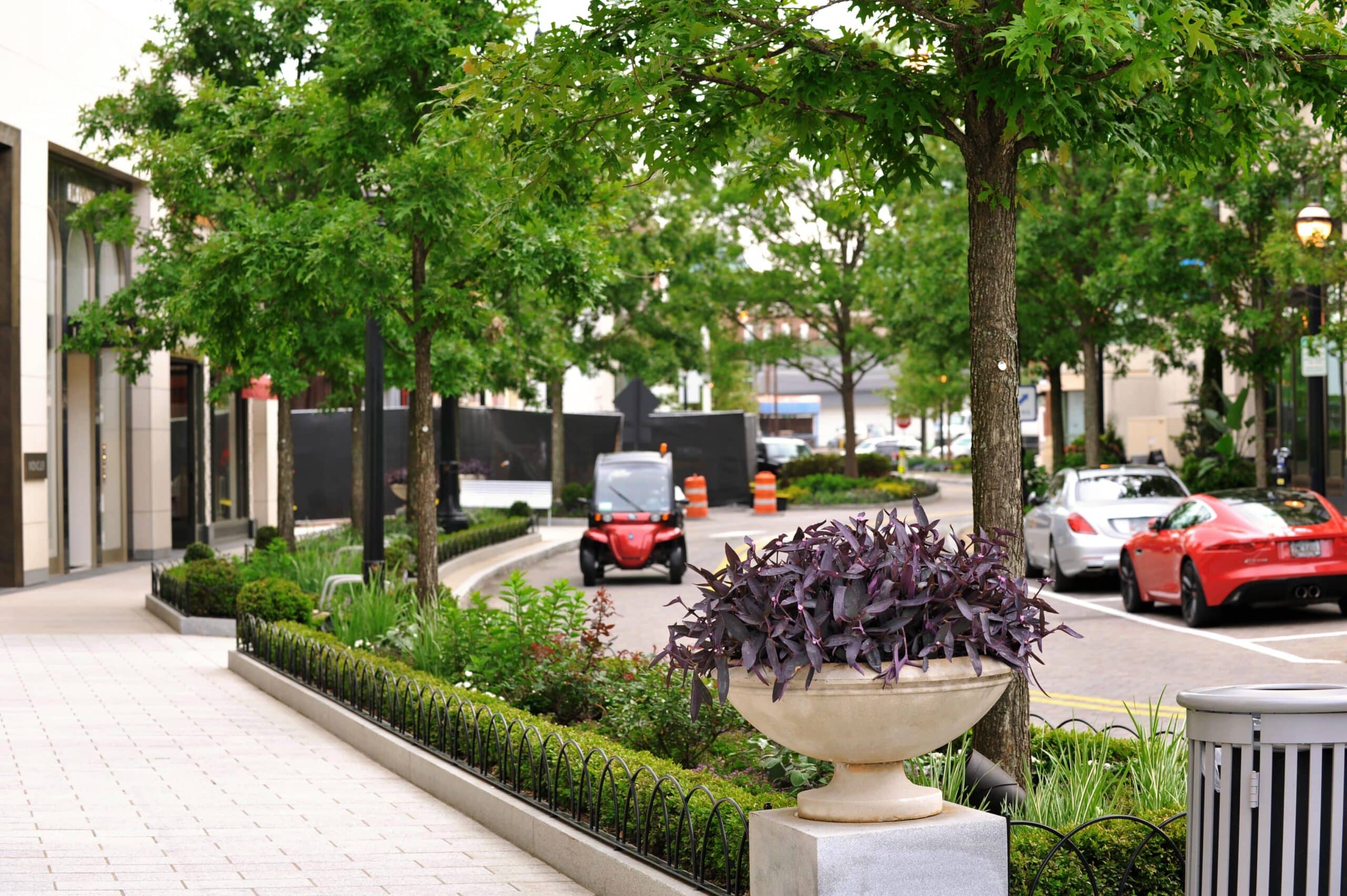 Buckhead Village District: How Landscaping Makes Daily Differences