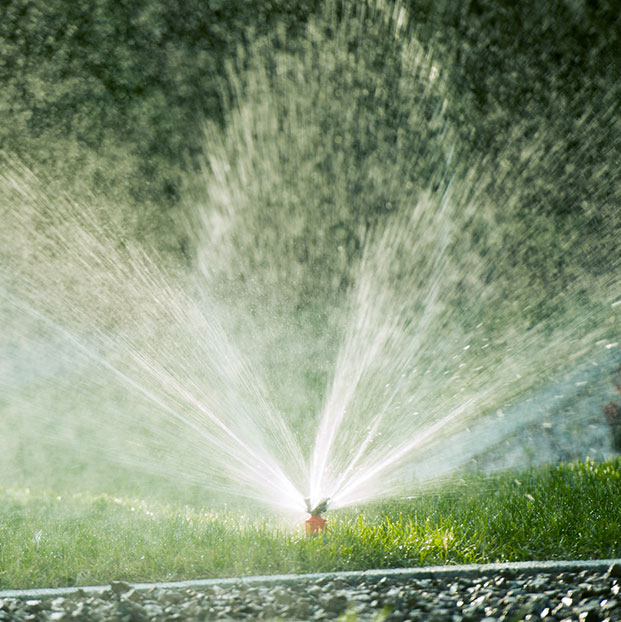 Sprinkler Upgrades Near Me